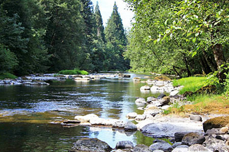 mckensie river view graphic